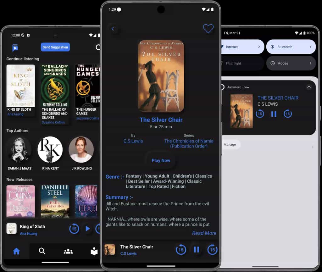 The Silver Chair Cover